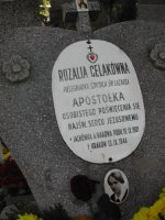 Grób na cmentarzu Rakowickim w Krakowie